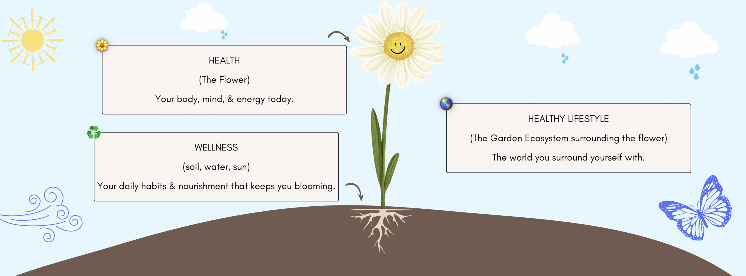 Healthy Daisy infographic on health, wellness, and living a healthy lifestyle.